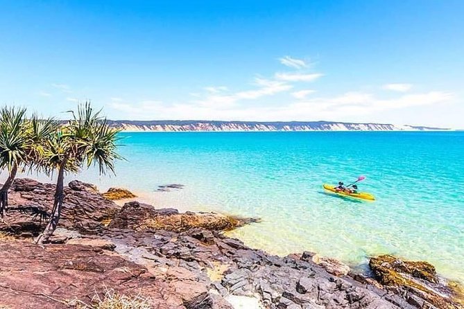 Epic Kayak With Dolphins & Wildlife - 4WD Beach Adventure Noosa - Wildlife Encounters