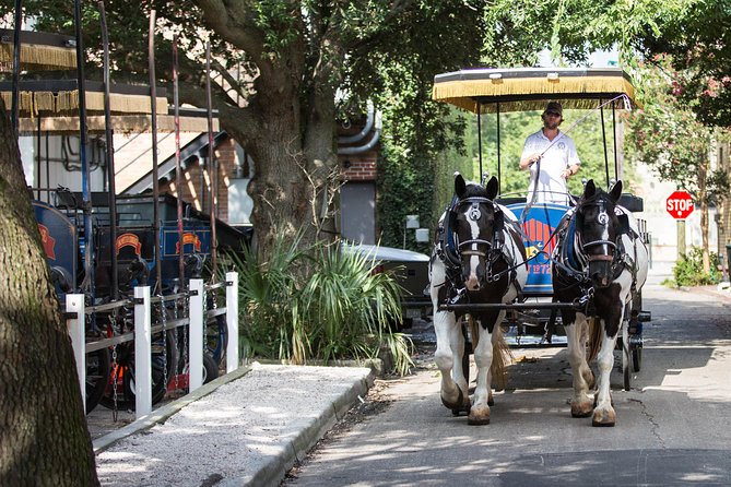 Evening Horse-Drawn Carriage Tour of Downtown Charleston - Recommendations for Participants