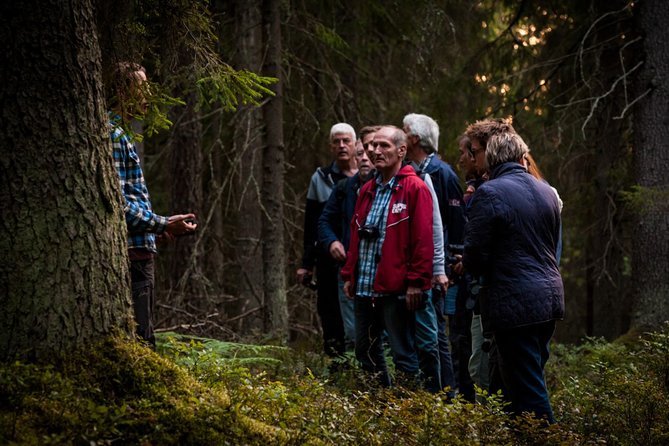 Evening Wildlife Safari Stockholm - Wildlife Encounter Highlights