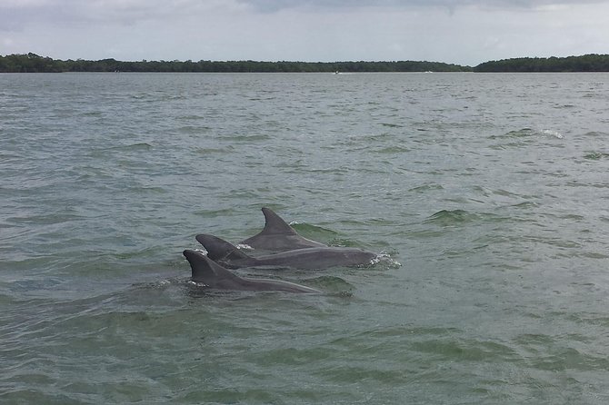 Everglades Day Safari From Fort Myers/Naples Area - Guest Reviews and Feedback