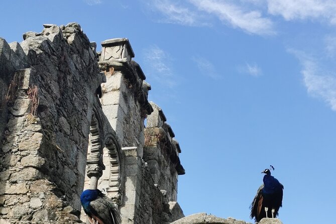 Évora Private Walking Tour, By Local Guide - What to Expect on the Tour