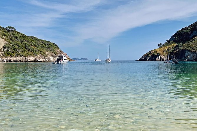 Exclusive Sailing Charter From Waiheke Island - Cancellation Policy and Terms