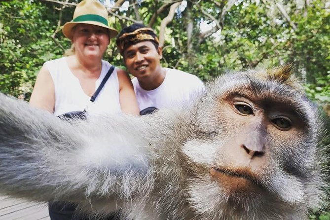 Exclusive Ubud Day Tour - Customer Reviews and Feedback