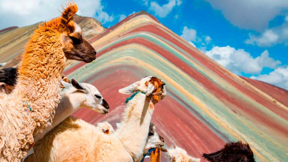 Excursion to Cusco Machu Picchu in 7 Days 6 Nights - Rainbow Mountain Hike