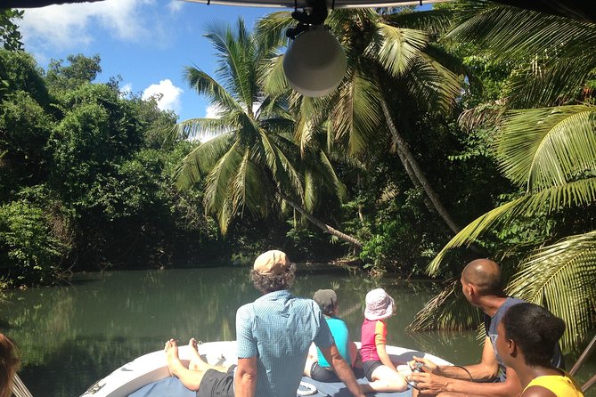 Experience on a Boat off the Beaten Track of the Most Beautiful Lagoon in Guadeloupe - Wildlife-Rich Underwater Wonders