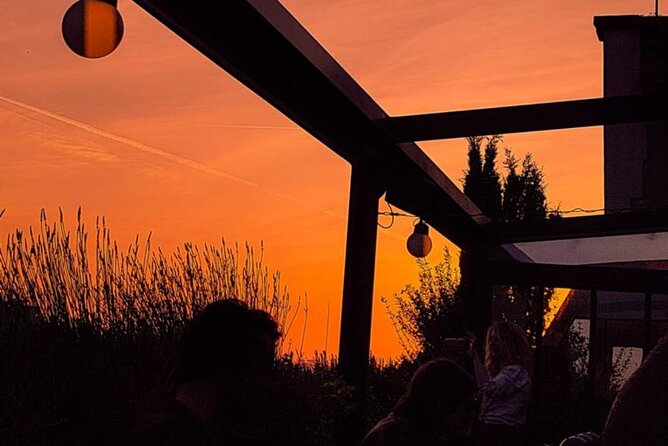 Explore Hidden Bars and Speakeasy in Paris - Highlights of Hidden Bars