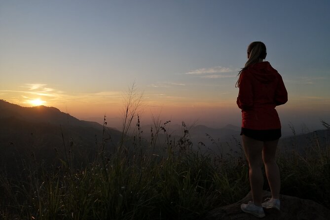 Explore the Best of Ella. Hiking, Waterfalls and Cultural Tour - Tour Itinerary and Highlights
