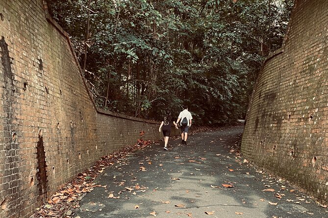 Exploring Singapore's Forgotten Hills - What to Expect