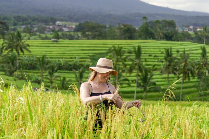 Exquisite UNESCO World Heritage Sites in Bali - Visitor Experience