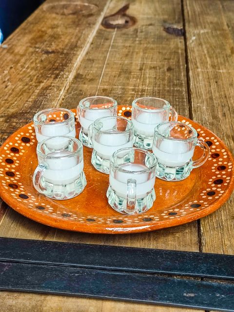 🟢Mexico Off The Beaten Track/ Street Food Bike Tour 🟢 - Frequently Asked Questions