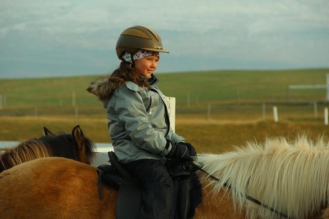 Family Friendly Horse Riding Tour in Skagafjörður - Customer Experiences