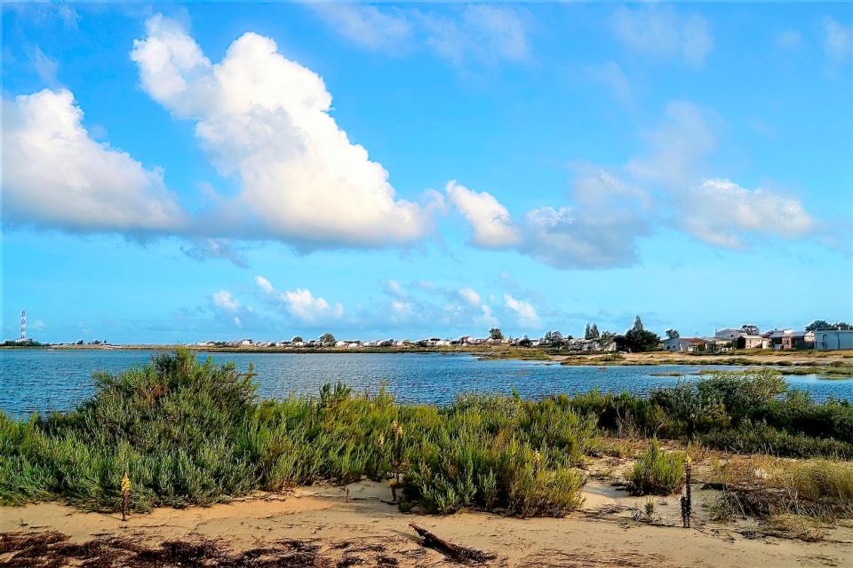 Faro: Ria Formosa Catamaran Tour - Customer Reviews and Ratings