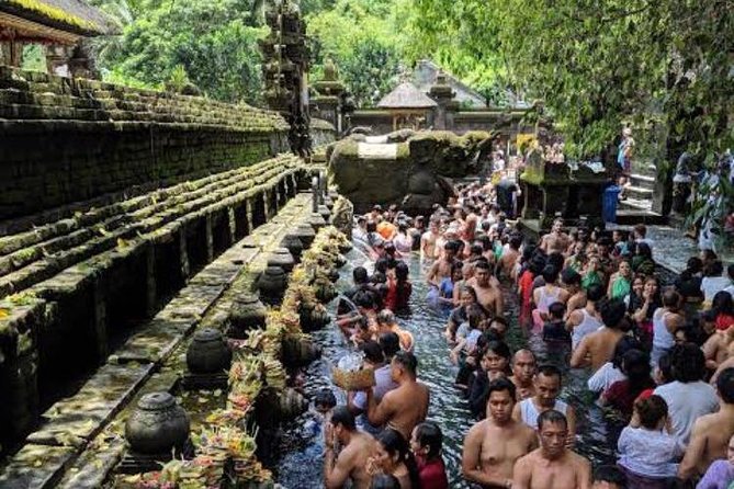 Favorite Sites of Ubud Daytrip - Traveler Tips and Recommendations