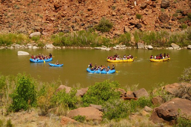 Fisher Towers Half-Day Rafting Day Trip From Moab - Customer Reviews and Feedback