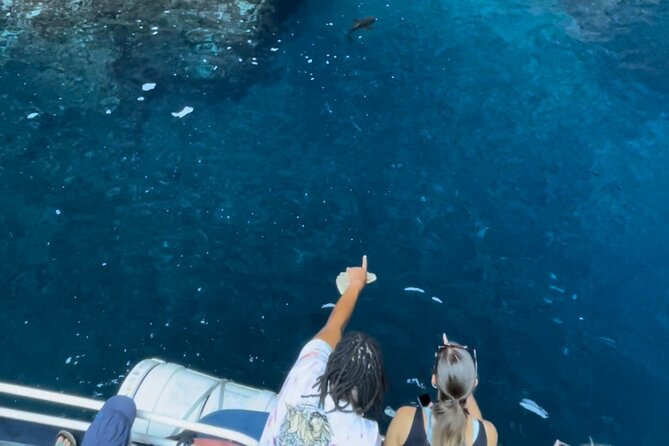 Friendly Discovery of Scandola Calanques De Piana and Meal Stop at Girolata - Participant Information