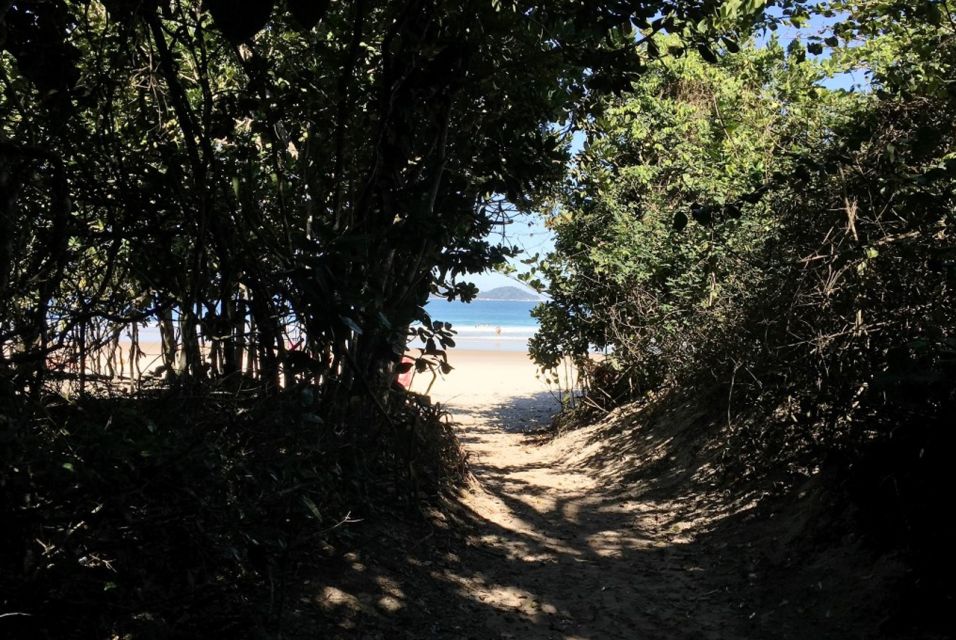 From Abraão, Ilha Grande: Lopes Mendes Beach Tour & Trekking - Inclusions and Amenities