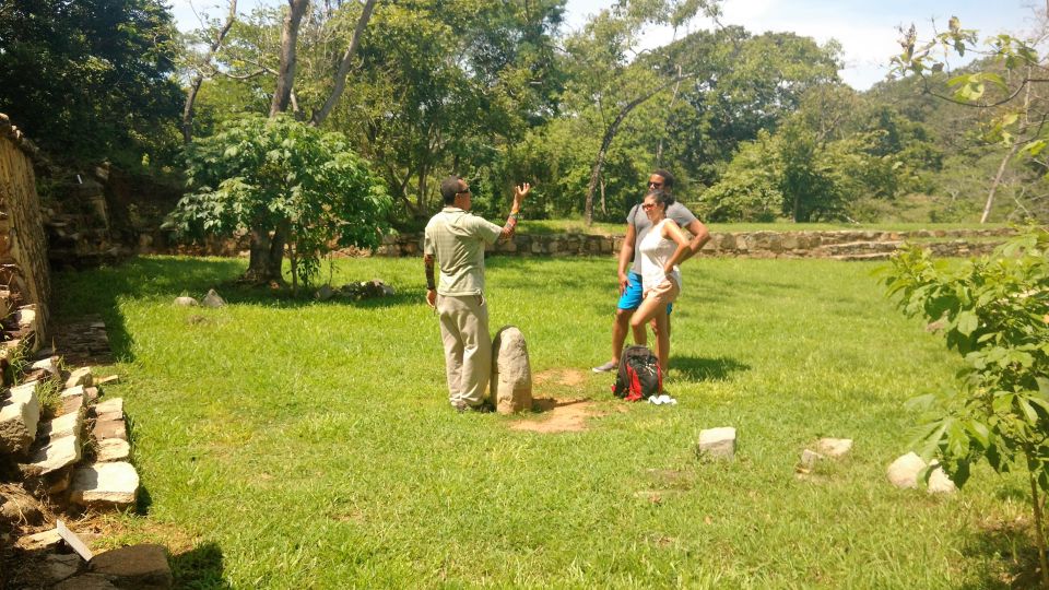 .From Acapulco: Archaeological Tour to Tehuacalco Site - Site Discovery and Excavation History