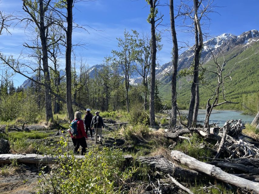 From Anchorage: Valley and Forest Hike With Naturalist Guide - Wildlife Viewing Opportunities