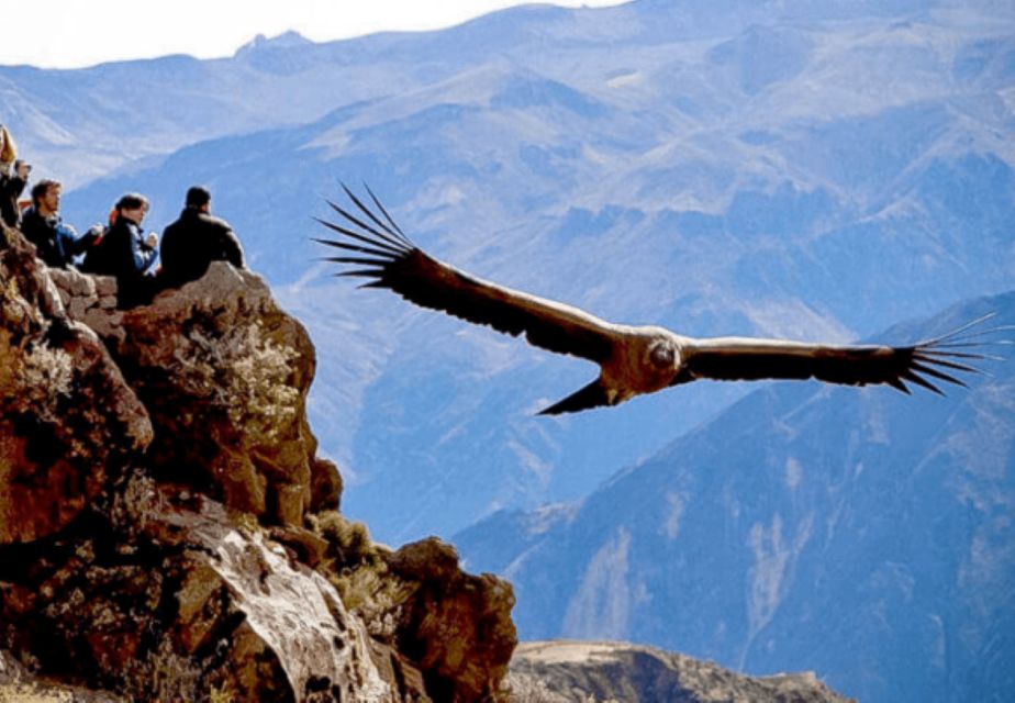 From Arequipa: Tour to Chivay & Colca Canyon - Nearby Attractions