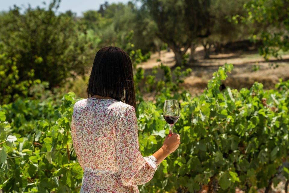 From Argostoli: Private Wine Tasting & Vineyard Tour - Pickup and Drop-off Locations