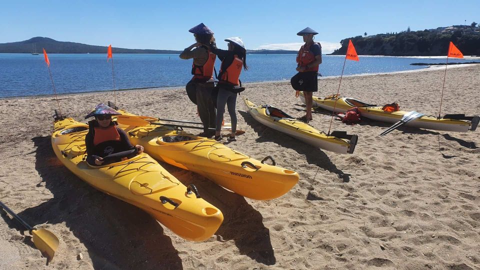 From Auckland: Browns Island Motukorea Sea Kayak Tour - Equipment