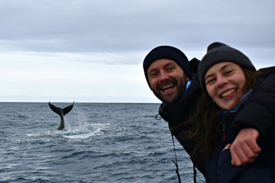 From Augusta: Educational Whale Watching Cruise - Customer Reviews