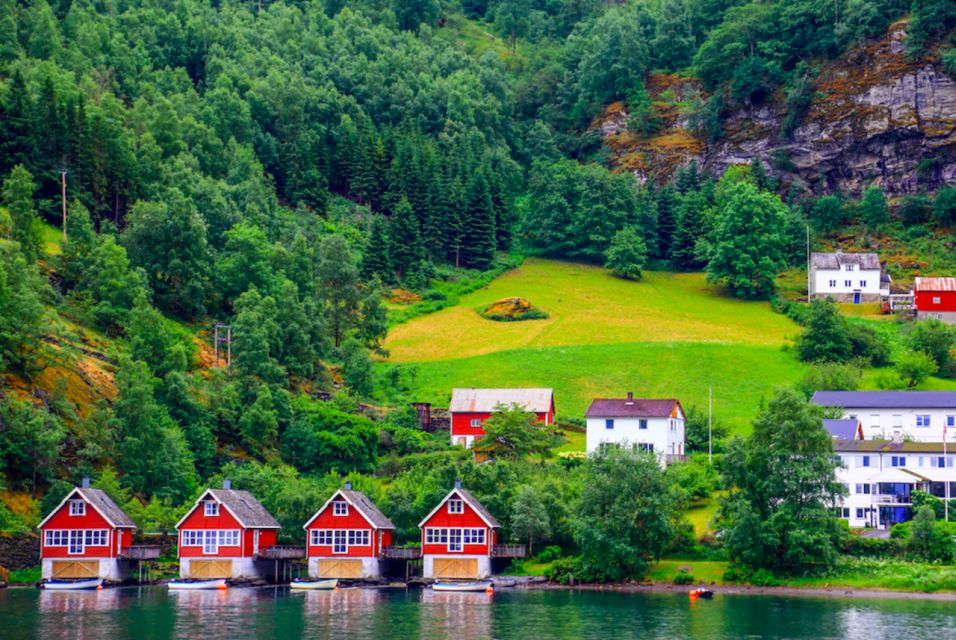 From Bergen: Flam Full-Day Cruise to Sognefjord - Customer Reviews