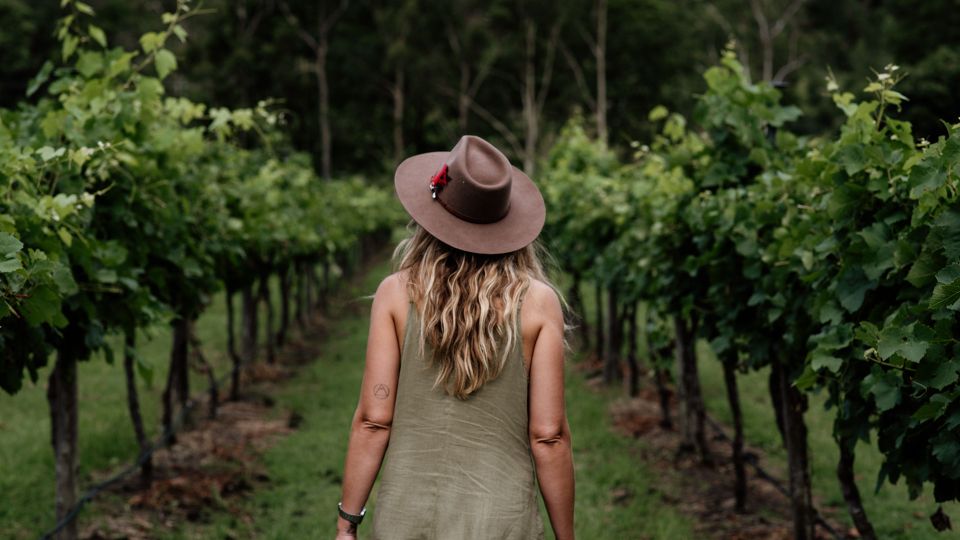 From Brisbane: Luxury Winery Tour and Gourmet Lunch - Tour Itinerary