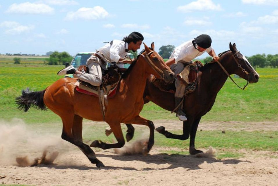 From Buenos Aires: Don Silvano Ranch Tour With Lunch. - What to Expect on the Ranch