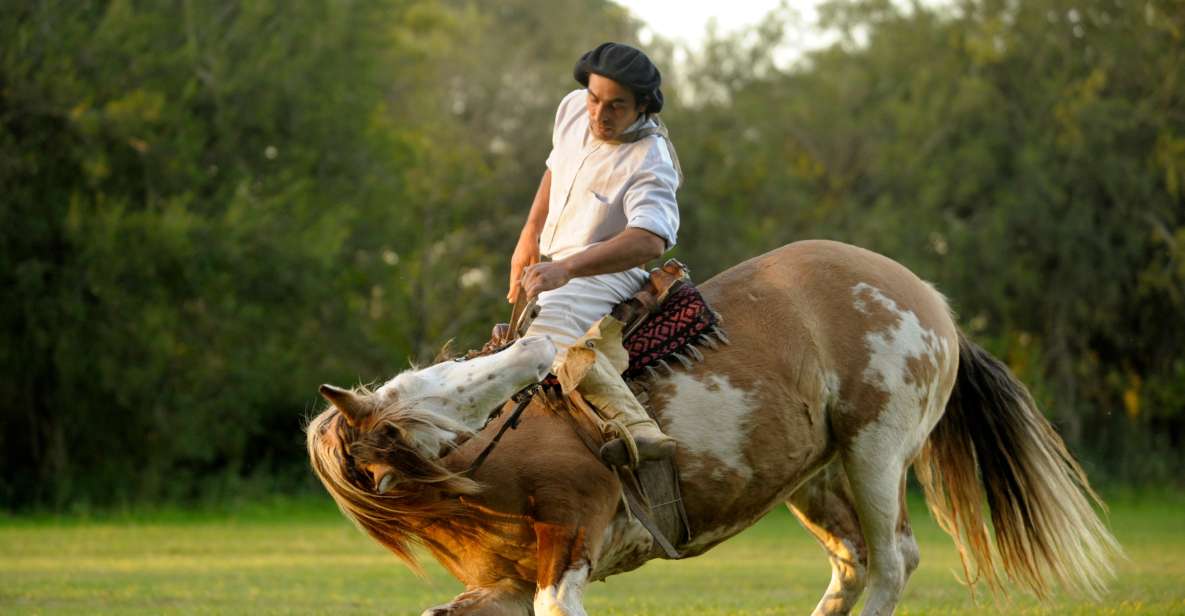 From Buenos Aires: San Antonio De Areco Day Tour - Booking and Payment Options