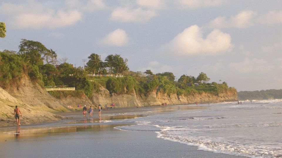 From Cali: Whale Watching Day Trip in Buenaventura - Customer Experiences and Reviews