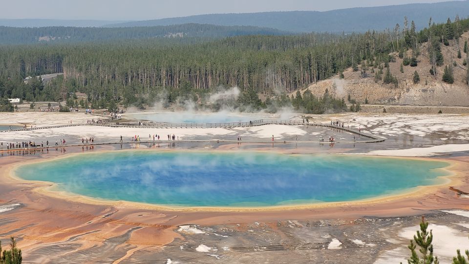 From Cody: Full-Day Yellowstone National Park Tour - Customer Reviews