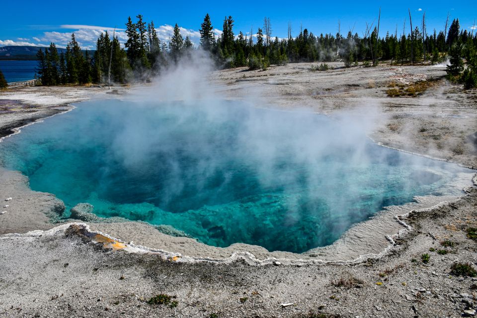 From Cody: Full-Day Yellowstone National Park Tour - Fishing Bridge and Sights