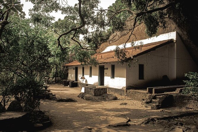 From Colombo to Sigiriya Lion Rock & Minneriya Half Day Safari - Safari Experience at Minneriya