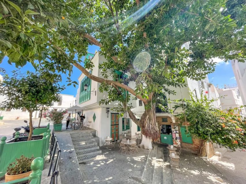 From Costa Del Sol: Discover Tangier on a Guided Day Trip - Moroccan Cuisine Experience