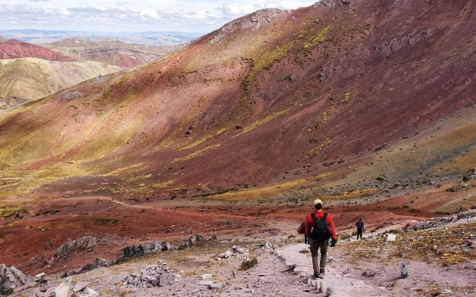 From Cusco: Full Day Palccoyo Mountain Tour - Customer Feedback