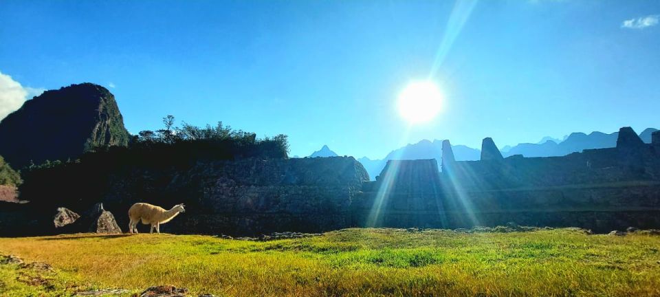 From Cusco: Machu Picchu Tour With Hiking Ticket - Viewpoint From the Mountain