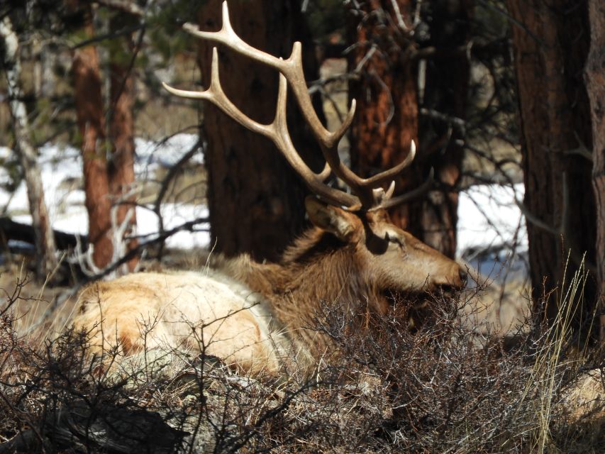 From Denver: Rocky Mountains Jeep Tour With Picnic Lunch - Booking Information