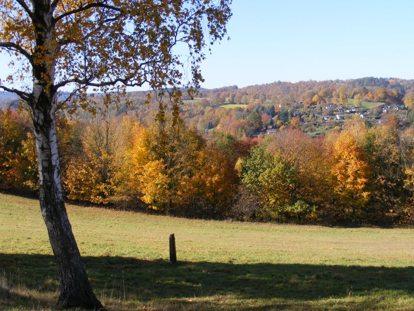 From Dresden: Day-Trip to the Ore Mountains - Ore Mountains: UNESCO Site