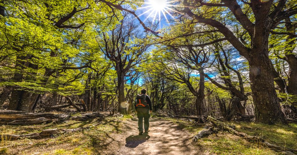 From El Calafate: Full-Day Tour to El Chaltén - Booking Information