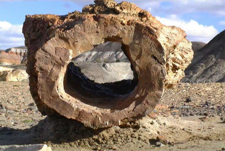 From El Calafate: La Leona Petrified Forest Day Trip - Scenic Views and Landmarks