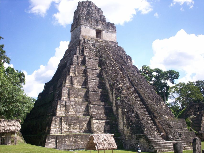 From Flores: Tikal Ruins Guided Day Trip - Customer Reviews and Feedback