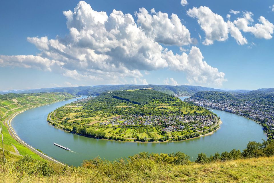 From Frankfurt: Rhine Valley Day Trip - Accessibility Features