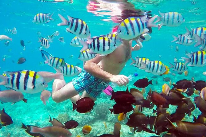 From Gili Trawangan & Gili Air Snorkeling Trip Sharing & Private - Snorkeling Equipment Provided