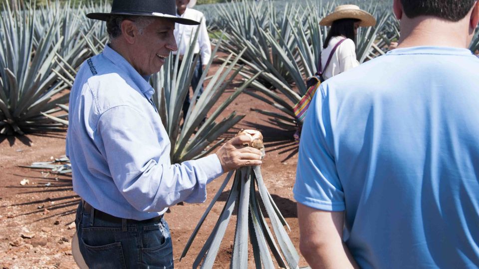 From Guadalajara: Pyramids & Jose Cuervo Tequila Tour - Discovering Traditional Food Market in Tequila