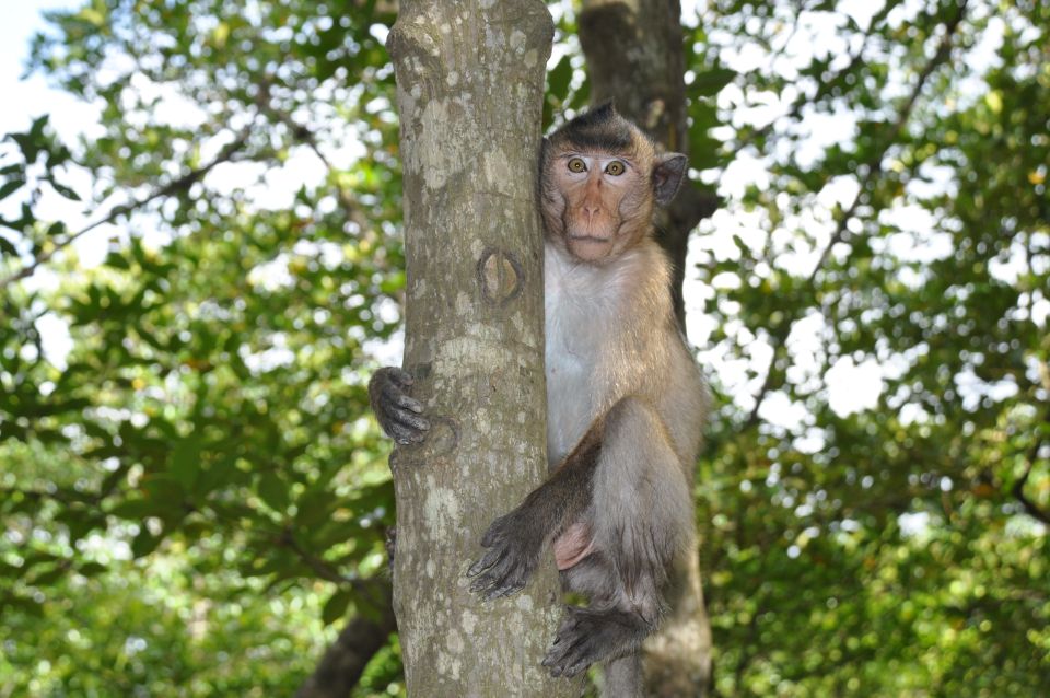 From Ho Chi Minh City: Can Gio Mangrove Guided Forest Tour - Dining Experience