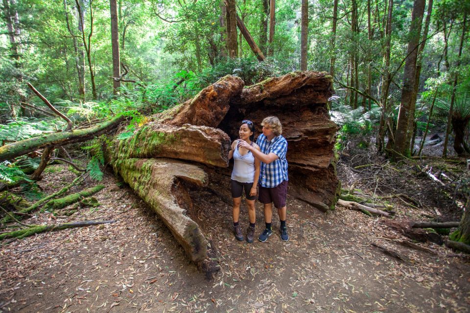 From Hobart: Mt. Field, Mt. Wellington and Wildlife Day Tour - Directions