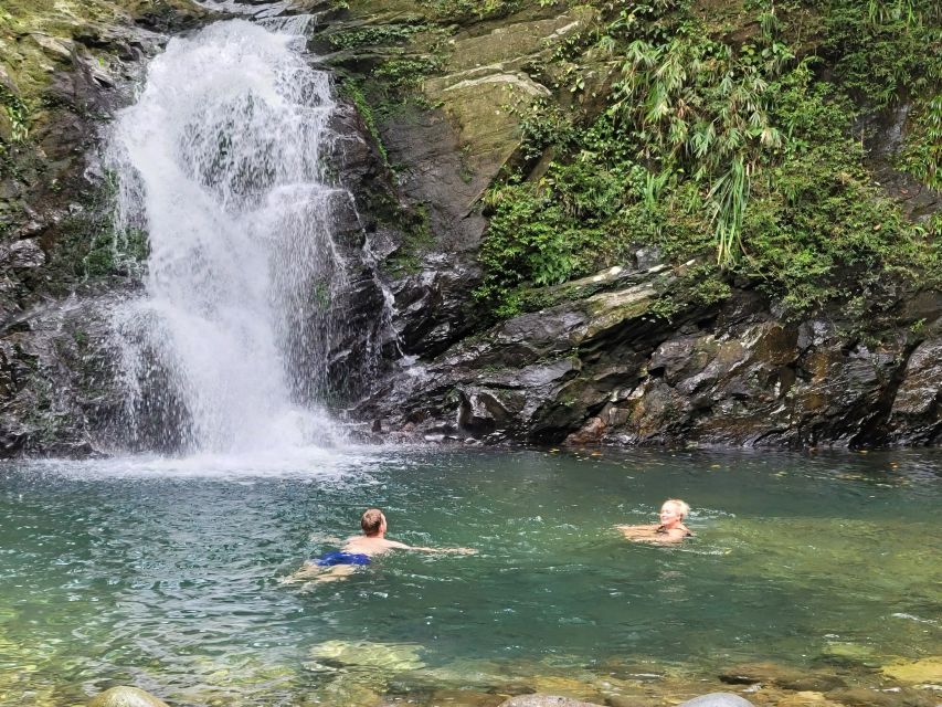 From Hue: Bach Ma National Park Hiking Day Trip With Pickup - Customer Ratings