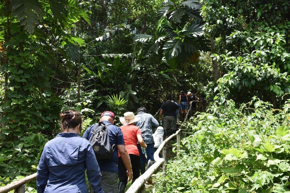 From Iquitos: 4-day Pacaya Samiria National Reserve Tour - Wildlife Observation Opportunities