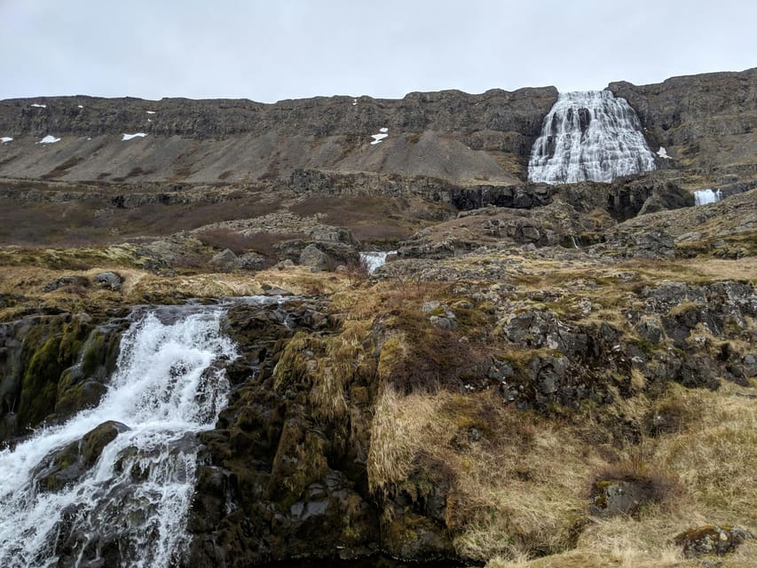 From Ísafjörður Port: Private Ísafjörður Tour - What to Expect